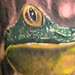Tattoos - Frog - 21242